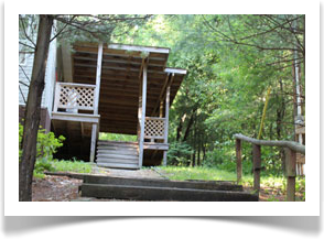 pinewood Cabin